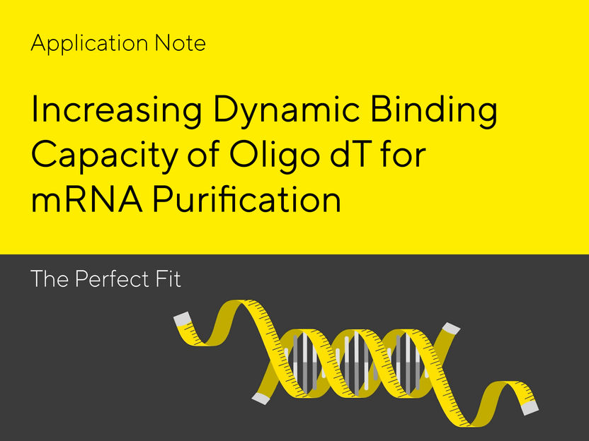 From Screening of Chromatographic Conditions to Scale-up